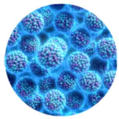 Microscopic view of the SELUTION SLR proprietary phospholipid coating