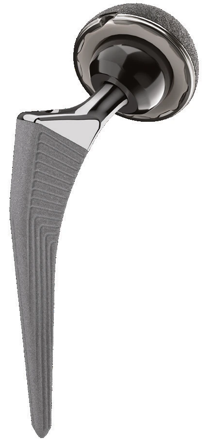 FEMORAL HEADS