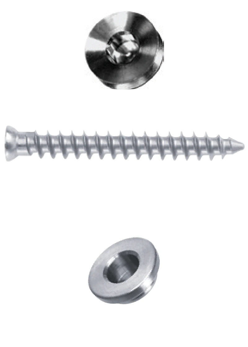 R3 SCREWS AND HOLE COVERS